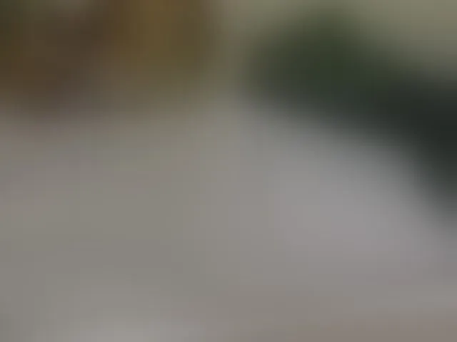 Live sex webcam photo for Blackqueeen #292640675