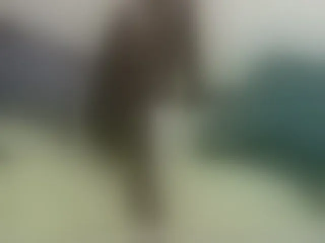 Live sex webcam photo for Blackqueeen #292741472
