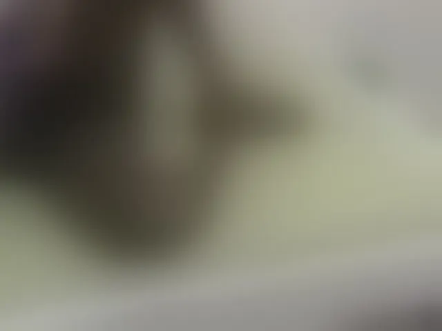 Live sex webcam photo for Blackqueeen #292777009