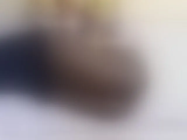 Live sex webcam photo for Blackqueeen #293187508