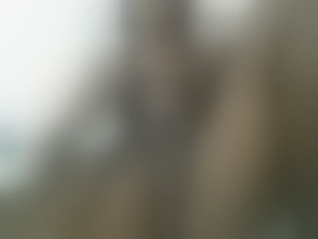Live sex webcam photo for Blacksweetbeb #294287512