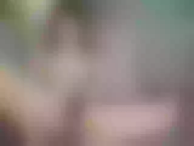 Live sex webcam photo for Bloom-fairy #291459516