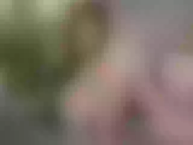 Live sex webcam photo for Bloom-fairy #291741848