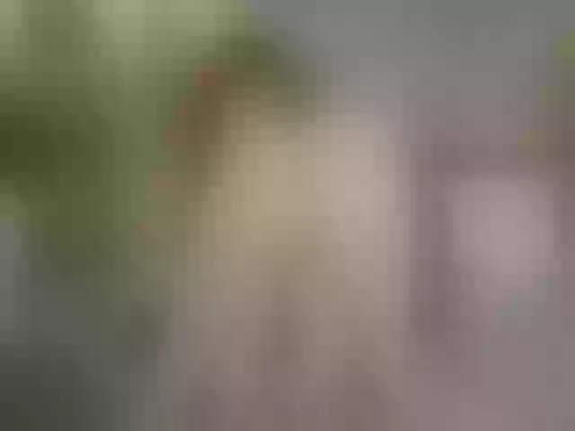 Live sex webcam photo for Bloom-fairy #291888142