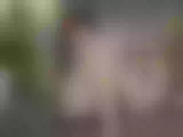 Live sex webcam photo for Bloom-fairy #291921325