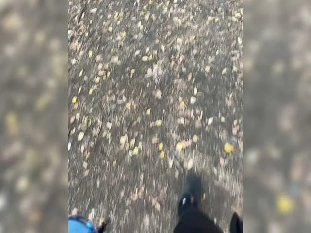 Live sex webcam photo for Bolchoi20sm #274575916