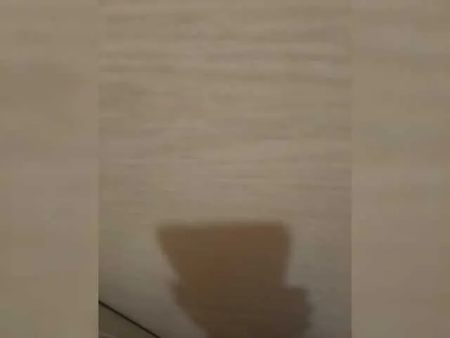 Live sex webcam photo for Bolsohoi20 #290231933