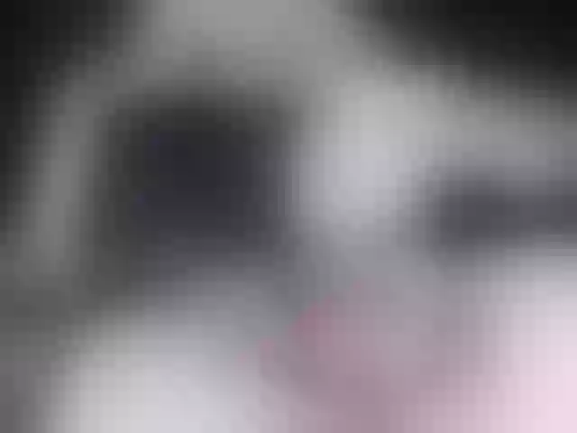 Live sex webcam photo for BombomGill #278266037