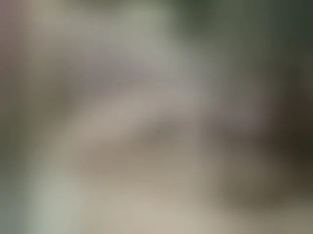 Live sex webcam photo for BonnieFitoNyash #293497209