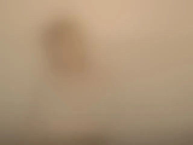 Live sex webcam photo for Bonniee #293025040