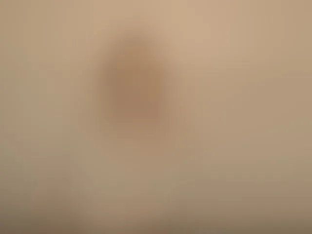 Live sex webcam photo for Bonniee #293425104