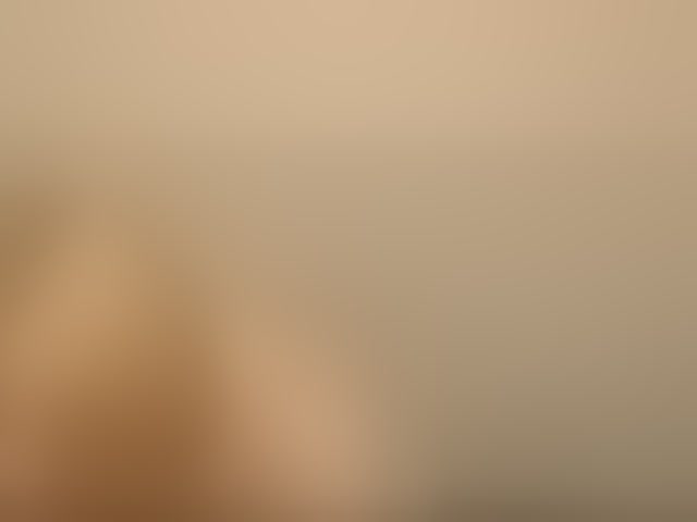Live sex webcam photo for Bonniee #294332058