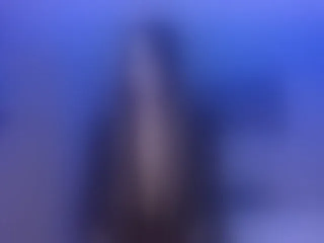 Live sex webcam photo for BonnyRose #293320831
