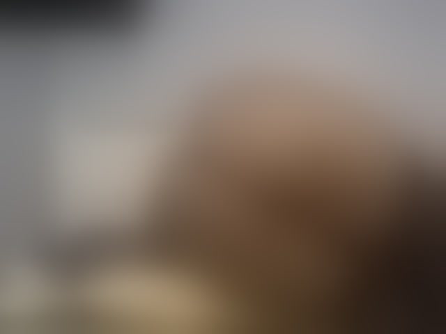 Live sex webcam photo for Booty-empress #294194725