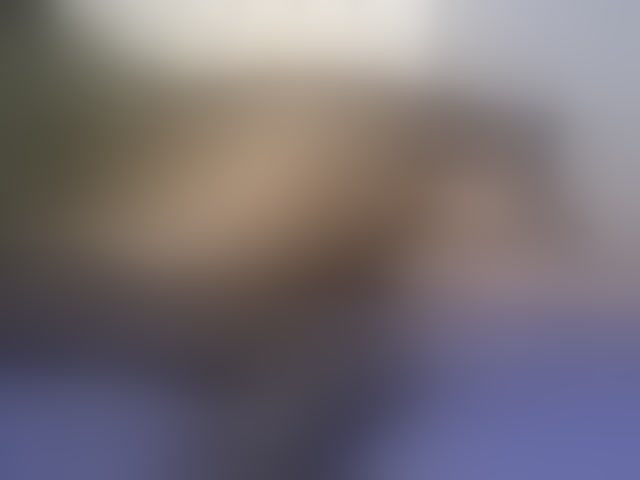 Live sex webcam photo for Booty-empress #294203902