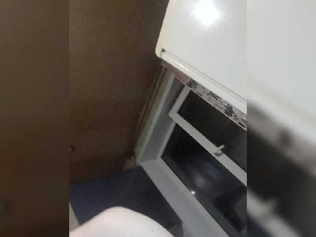 Live sex webcam photo for Boy-and-girl2629 #275946171