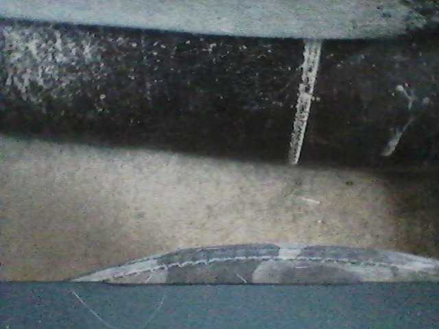 Live sex webcam photo for BradStevens1 #277712542