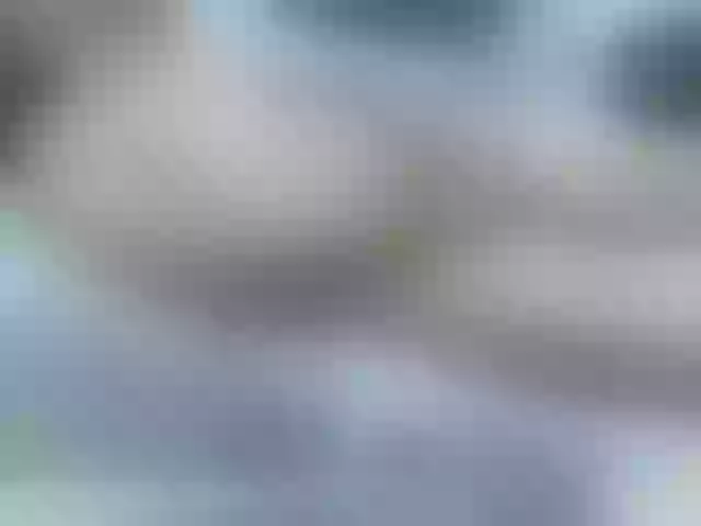 Live sex webcam photo for BradleyJhonson #276389785