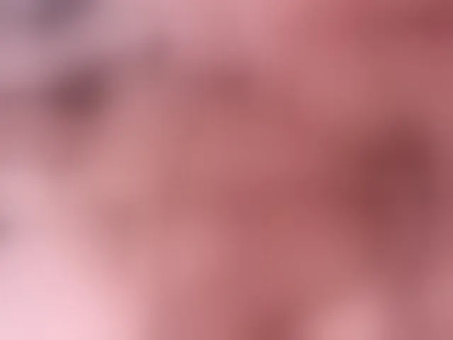 Live sex webcam photo for Brahim97 #292435446