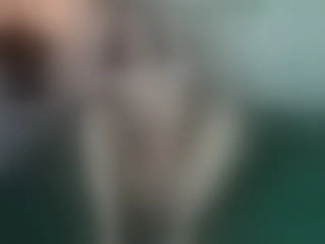 Live sex webcam photo for BrandyNash #273793186