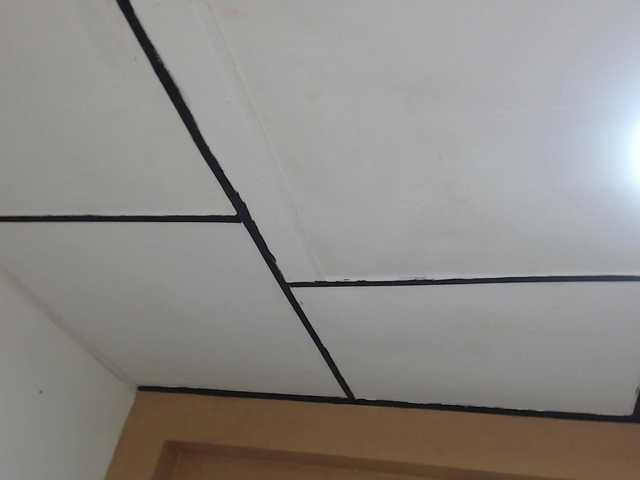 Live sex webcam photo for Breanna-wood #277997638