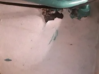 Live sex webcam photo for Breeboo2020 #206464517