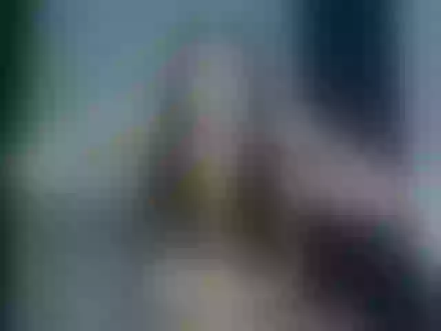 Live sex webcam photo for Brenda-M00n #291427570