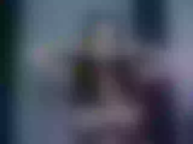 Live sex webcam photo for Brenda-M00n #291550742