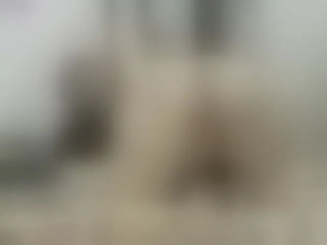 Live sex webcam photo for BrendaXiomy #293110872