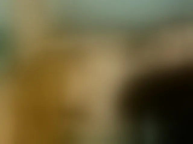 Live sex webcam photo for Brianna20 #293251717
