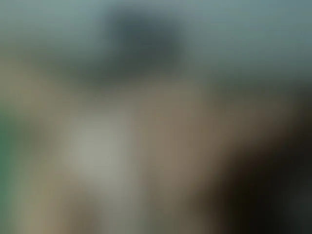 Live sex webcam photo for Brianna20 #293860614