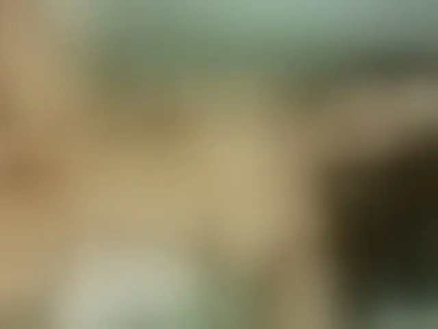 Live sex webcam photo for Brianna20 #294257633