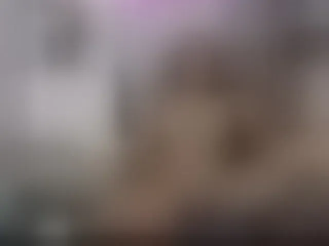 Live sex webcam photo for BriannaLorens #292935914