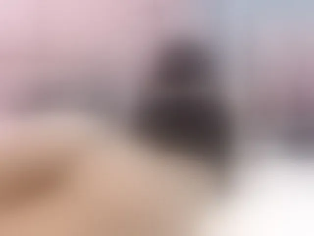 Live sex webcam photo for BriannaWhite1 #273428436