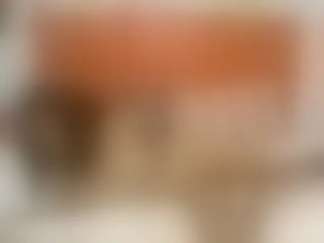 Live sex webcam photo for Brightness #292731478