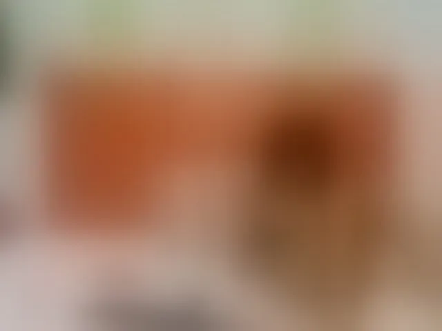 Live sex webcam photo for Brightness #292737224