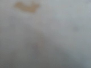 Live sex webcam photo for Brigitte-hot #149829019