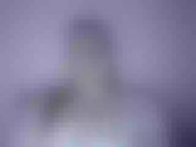 Live sex webcam photo for BritneyBlond #291901531
