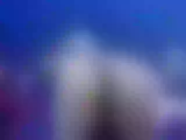 Live sex webcam photo for BulmaPrinces #291604192