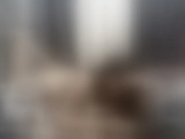 Live sex webcam photo for BunnyChains #293156005