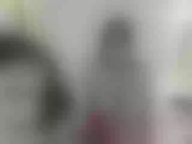 Live sex webcam photo for BunnyGirlsHot #290397766