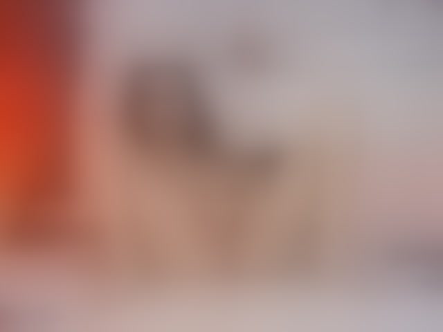Live sex webcam photo for BunnySin #294321493