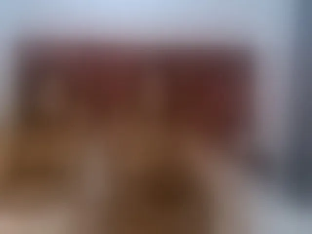 Live sex webcam photo for Burningdesire1 #291228832