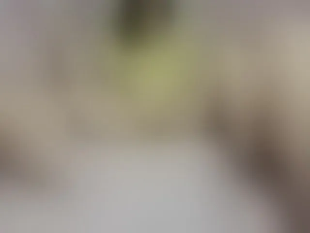 Live sex webcam photo for BusiNkab #290828173