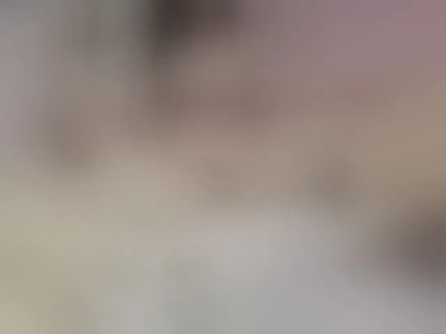 Live sex webcam photo for BusiNkab #290951641