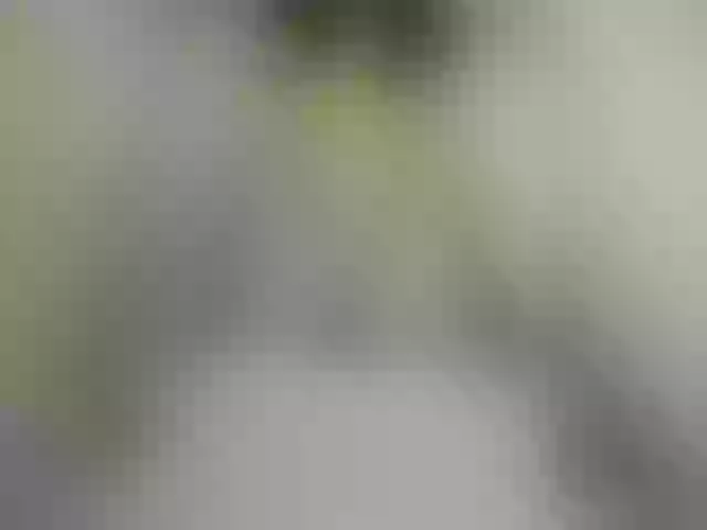 Live sex webcam photo for BusiNkab #292027278