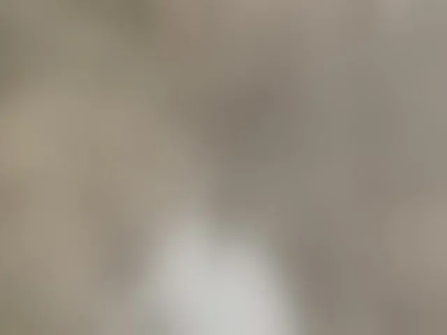 Live sex webcam photo for Businkaa #293738856
