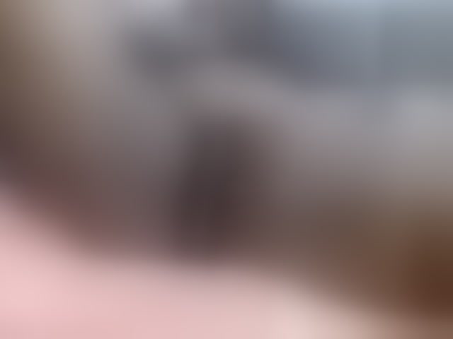 Live sex webcam photo for BustyBabeX #294242774