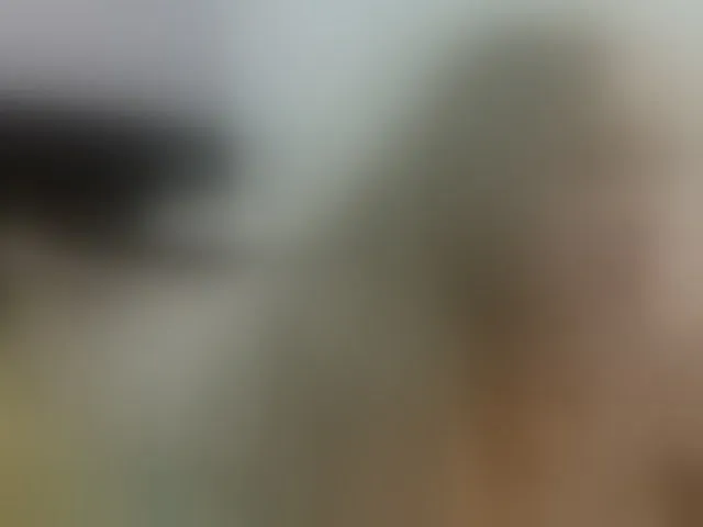 Live sex webcam photo for ByancaWinklar #292748423