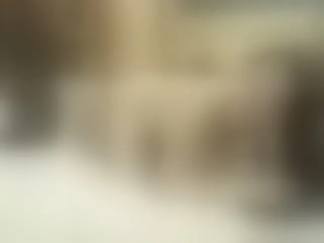 Live sex webcam photo for CARLANDJACKSO #275973052